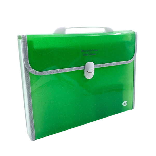 ملف شنطة 12 جيب EM-SH2001-03