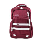 شنطة ظهر مدرسية ملون 47 سم DANDY A215